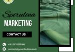 Spirulina Marketing | Innovative Marketing Solutions for Spirulina