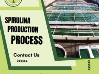 Spirulina-Production-Process-2-2-1