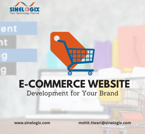 Best Custom E-commerce Website Development Company in Ahmedabad | Sinelogix