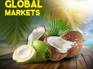 coconut-exporters-India