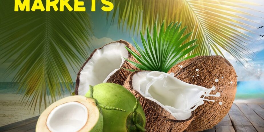 coconut exporters India