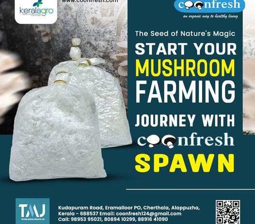 Mushroom Cultivation Training In Kerala