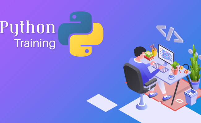 python training program